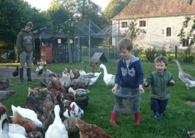 enfants qui donne des graines aux animaux à plumes de notre ferme pédagogique de Ouezy en Normandie pour faire des visites et des activités pour enfants