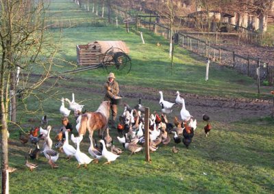 fermier qui nourrit les animaux de notre ferme pédagogique de Ouezy en Normandie pour faire des visites et des activités pour enfants