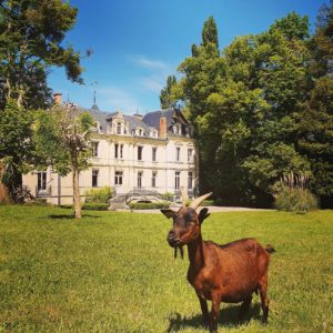 domaine de ouezy
