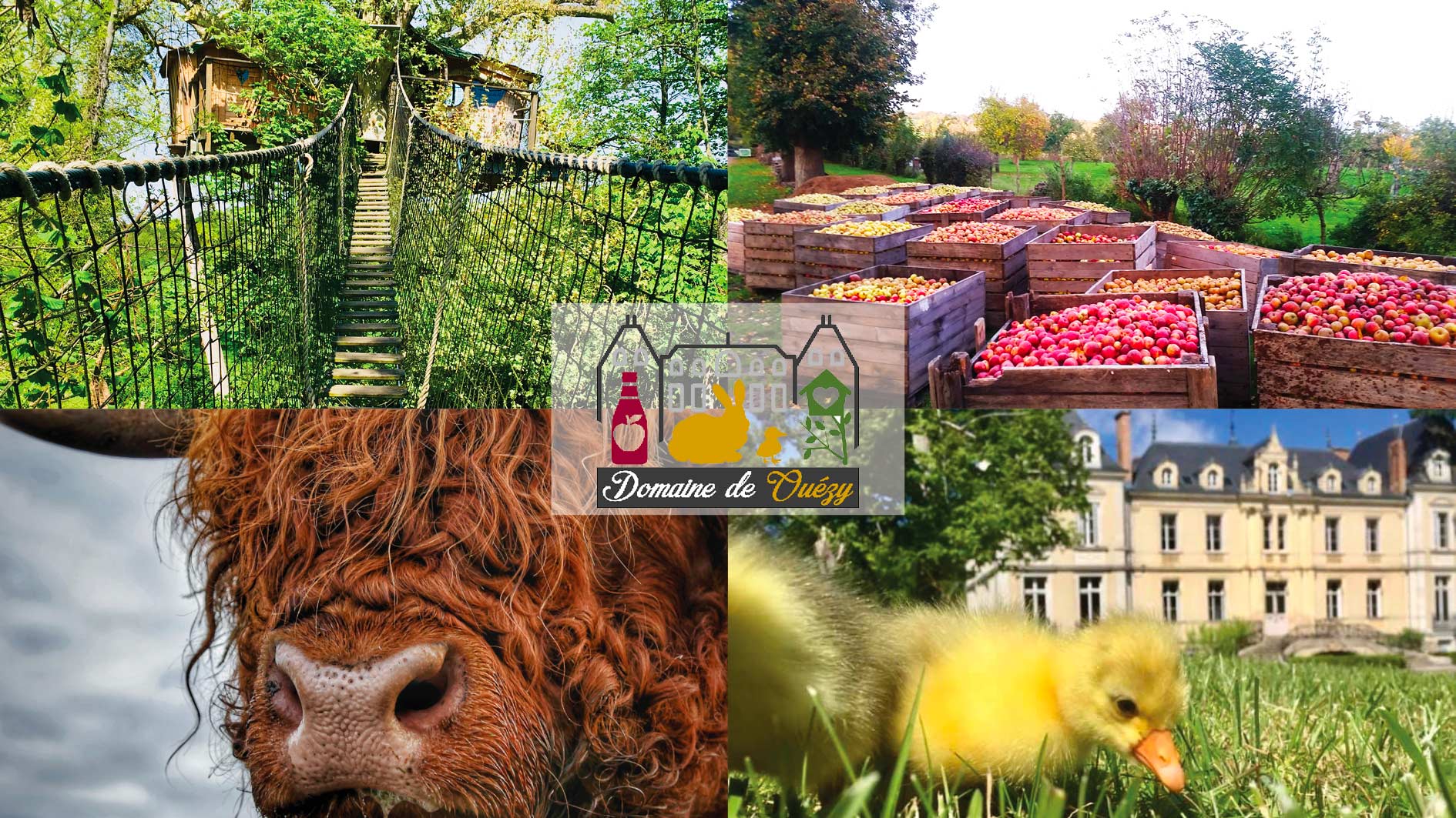 ferme-pedagogique-normandie