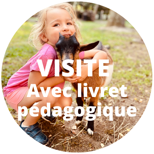 visite ferme pedagogique Normandie
