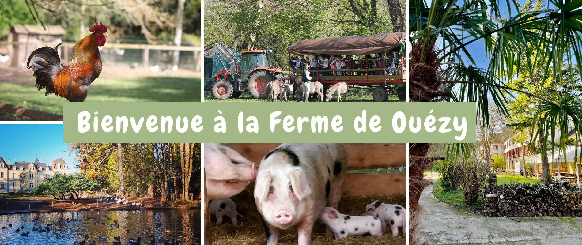 Ferme pédagogique de Ouézy Normandie