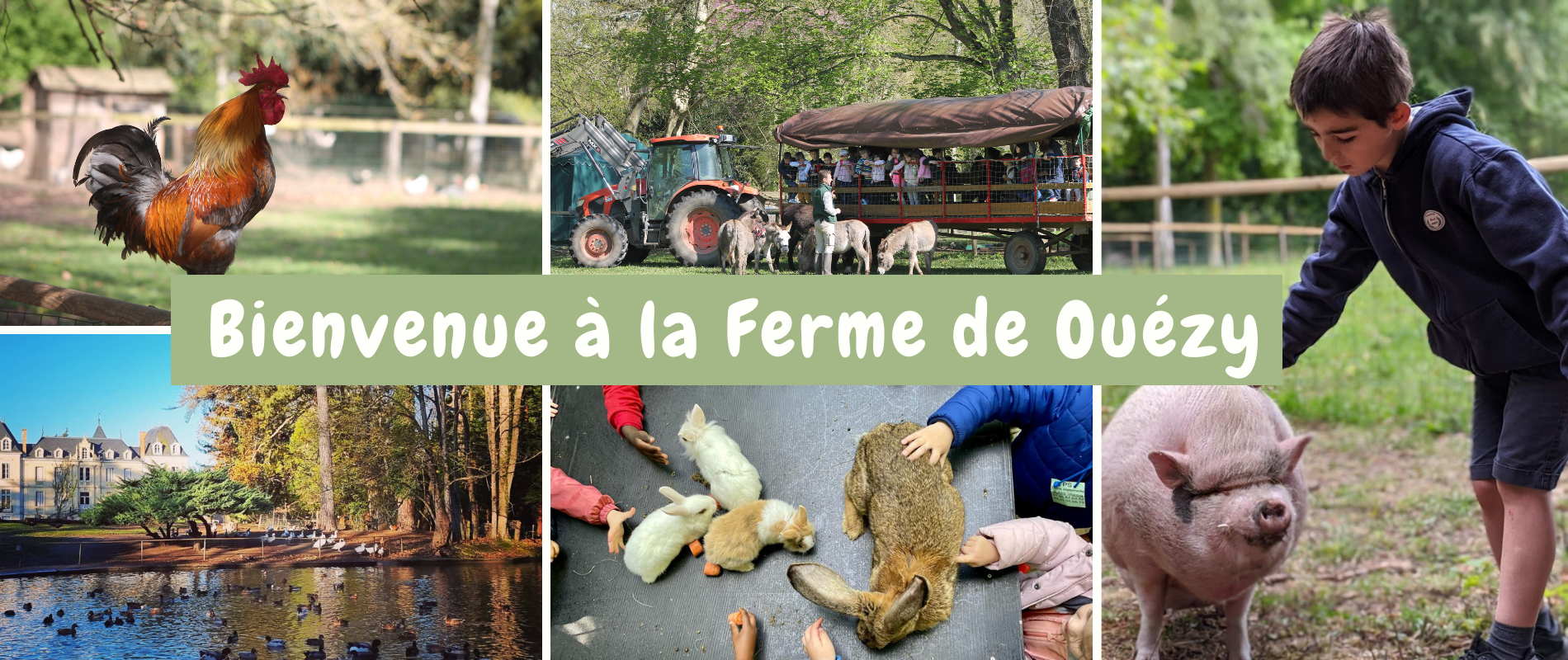 domaine de ouezy