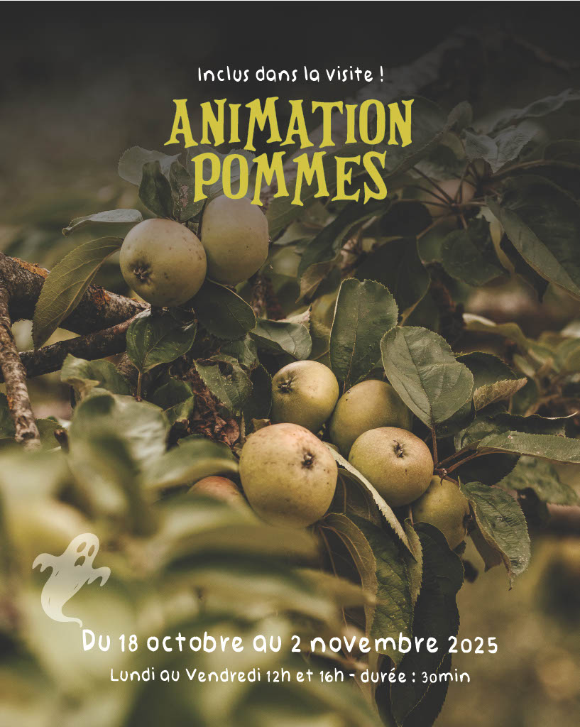 Animations autour de la pomme