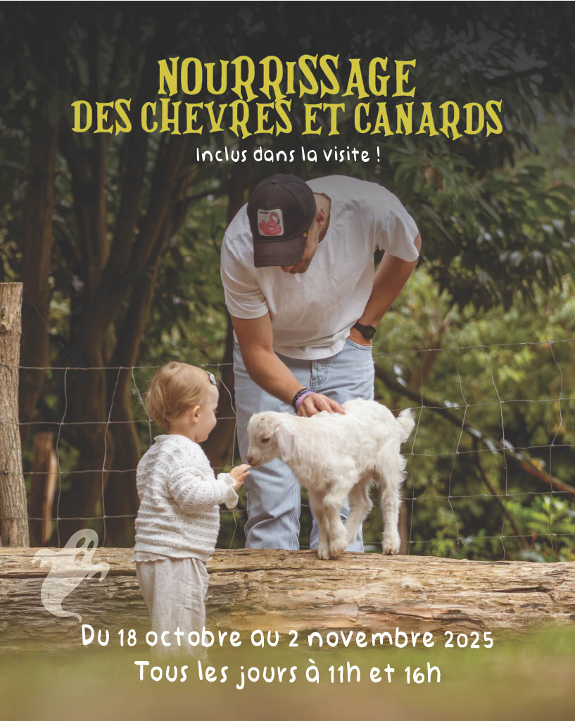 nourir les animaux ferme pédagogique pommes de notre verger, dans notre ferme pédagogique de Ouezy en Normandie pour faire des visites et des activités pour enfants