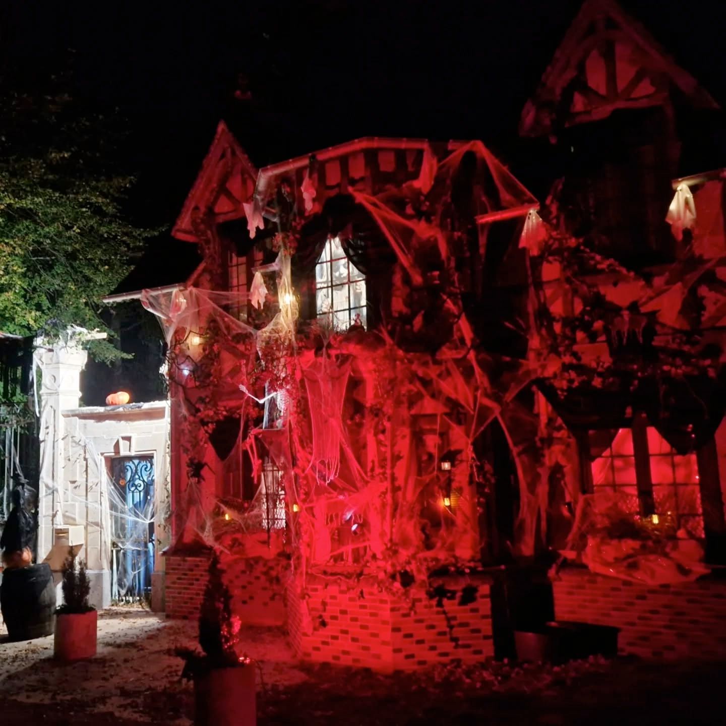 pommes de notre verger, dans notre ferme pédagogique de Ouezy en Normandie pour faire des visites et des activités pour enfants