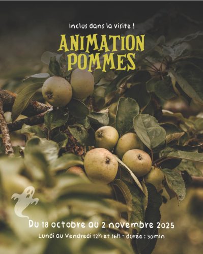 Animations-autour-de-la-pomme