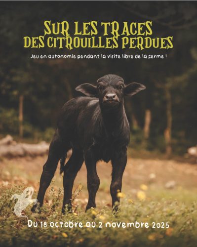JEU-HALLOWEEN