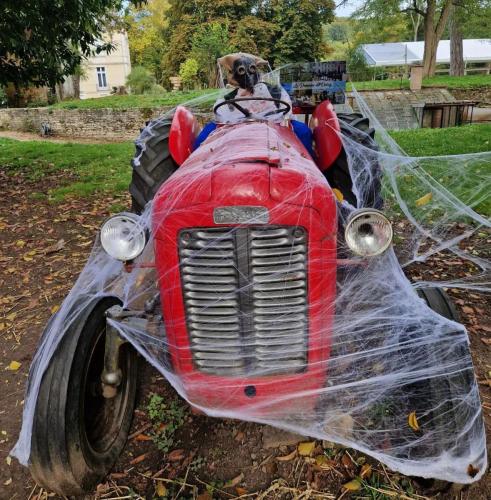 activites-en-famille-halloween-en-Normandie