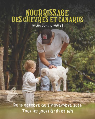 nourir-les-animaux-ferme-pedagogique